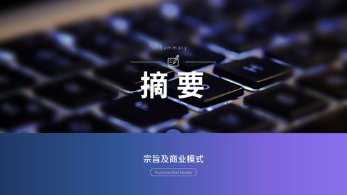 網絡科技公司商業(yè)計劃書