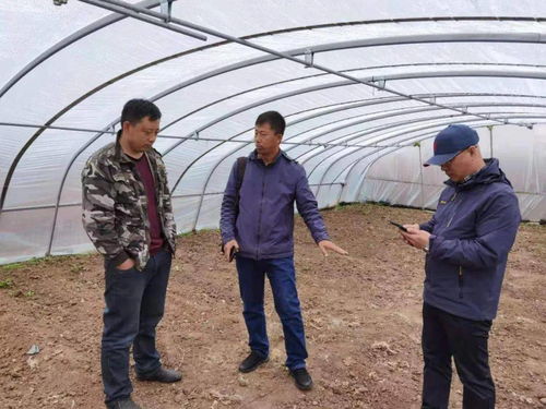 百期網(wǎng)課開新局，科技助農(nóng)譜新篇——市農(nóng)業(yè)科學院“學史力行慶華誕”網(wǎng)絡課堂圓滿結課