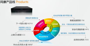 智慧網(wǎng)絡 立體安全 2013網(wǎng)康科技全國巡展掀起行業(yè)熱潮