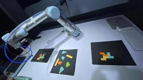 專家支招，黑科技亮相 這場展會連接武漢未來生活場景