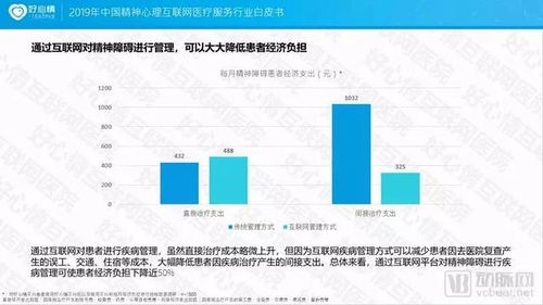 2019中國精神心理互聯網醫(yī)療服務行業(yè)白皮書 互聯網信息服務的創(chuàng)新與挑戰(zhàn)